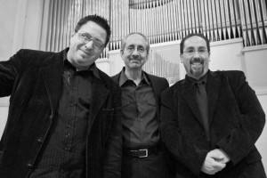 Organik Vibe Trio Promo Photo