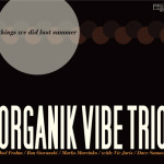 Organik Vibe Trio - Things We Did Last Summer
